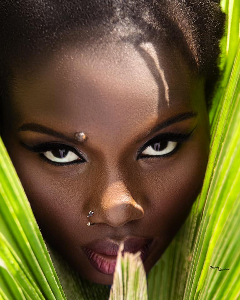 Article : Belle créature du Ciel