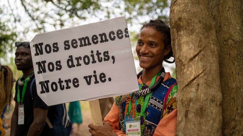 Article : La souveraineté semencière : un héritage à protéger, à renforcer et à partager